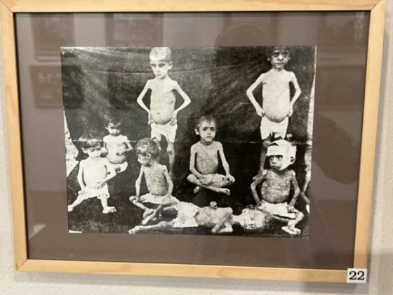 Dresden 2-e1656001607624-560x420.jpeg