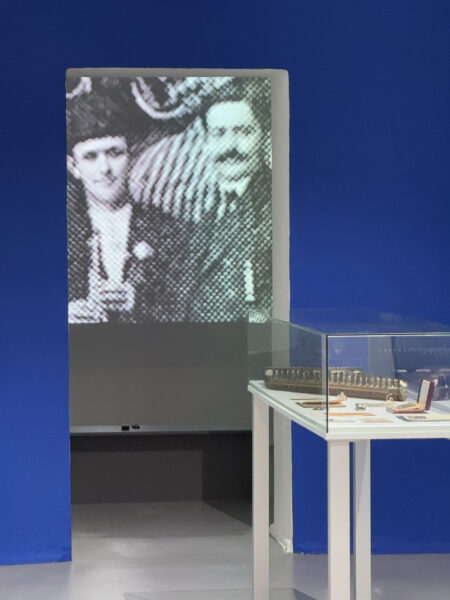 silvinia 3-e1739459486312